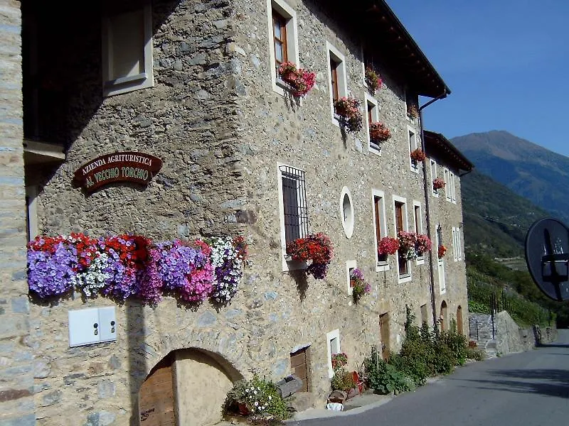 Agriturismo Il Vecchio Torchio Villa Teglio Alloggio per agriturismo